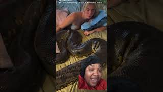 Celebrity Woman sleeping with a big python 🐍 snake #subscribe #shorts #shortsvideo #viralvideo Profile