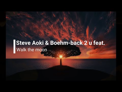 Steve Aoki & Boehm feat. walk the Moon - Back 2 U (Lyrics)