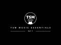 Best EDM & Trance Mix | Gaming, Driving & BGM | No Copyright | TSM MUSIC — ESSENTIAL VOL.1