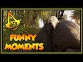 ASSASSIN'S CREED ORIGINS FUNNY MOMENTS AND GLITCHES (Also Fails and Wins)