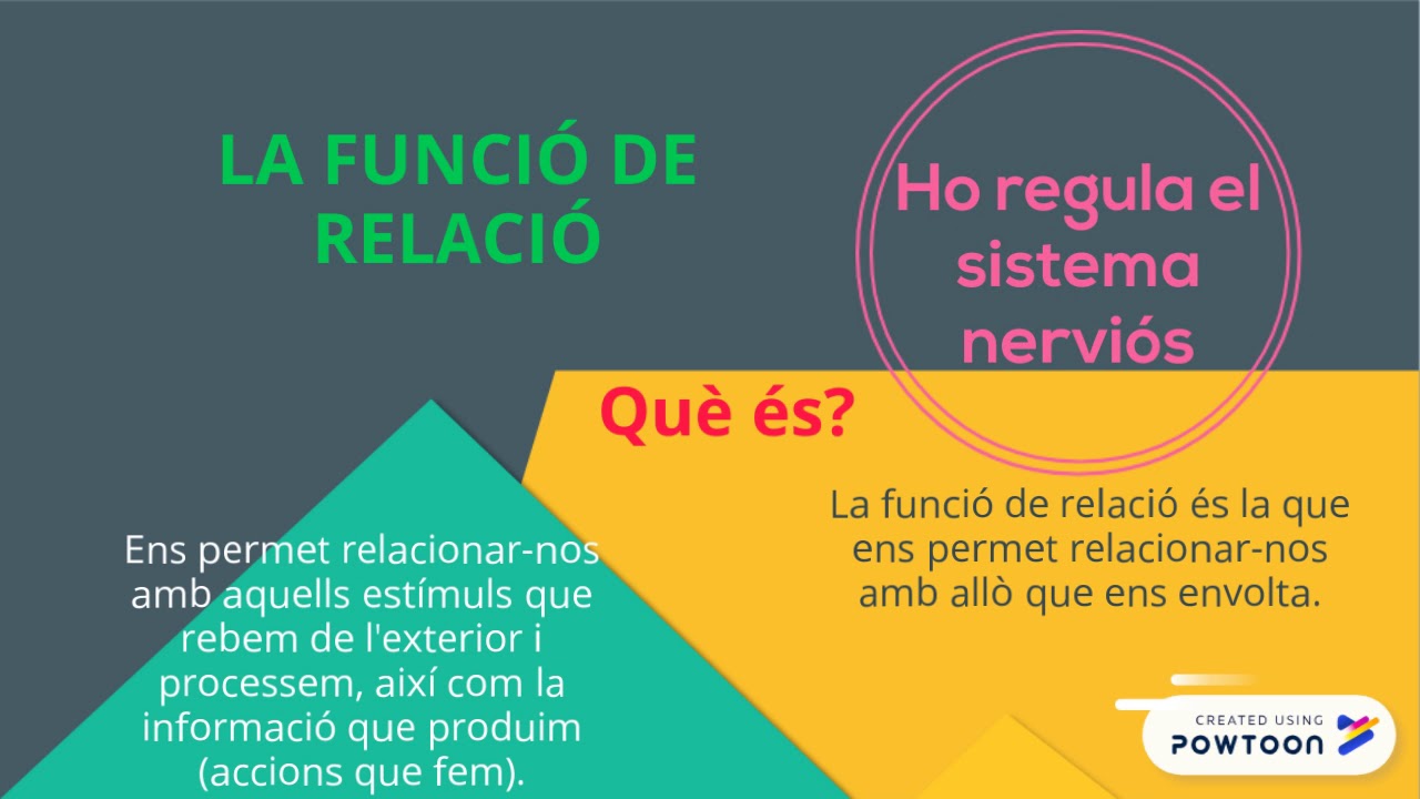 Funció de relació - introducció