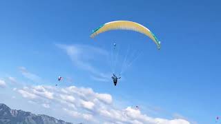 Paragliding in Andelsbuch, Advance Epsilon DLS