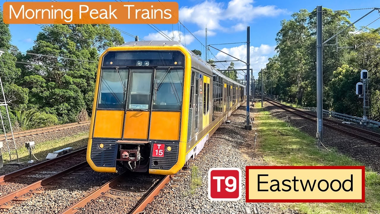 Transport for Sydney Vlog 1072: Eastwood Station - Morning Peak Trains Part 2