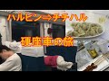 羊肉串・水餃子・硬座車ハルビン⇒チチハル