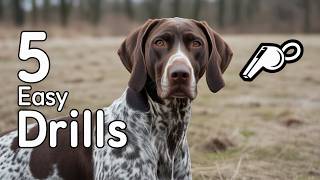 Gundog Training Drills Every Beginner Needs