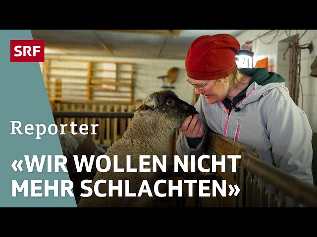 Landwirtschaft trotz allem – Zwischen Verlust und Umbruch | Teil 2 | Reporter | SRF