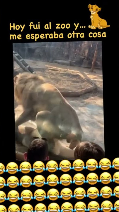 blow Job 🤣🤣🤣🤣🤣