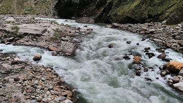 Digital Systems Design with Verilog HDL [Live]