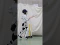 Sidearm with Finn #cricket #cricketcoaching #juniorcricket #surreycricket #cricketreels