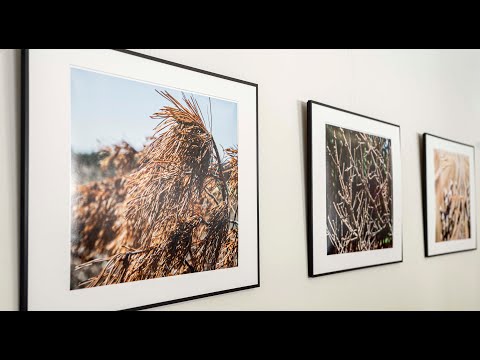 Ausstellung Transformationen - Fotografien von Klaus Ohlenschläger in Stadtbibliothek Bad Homburg