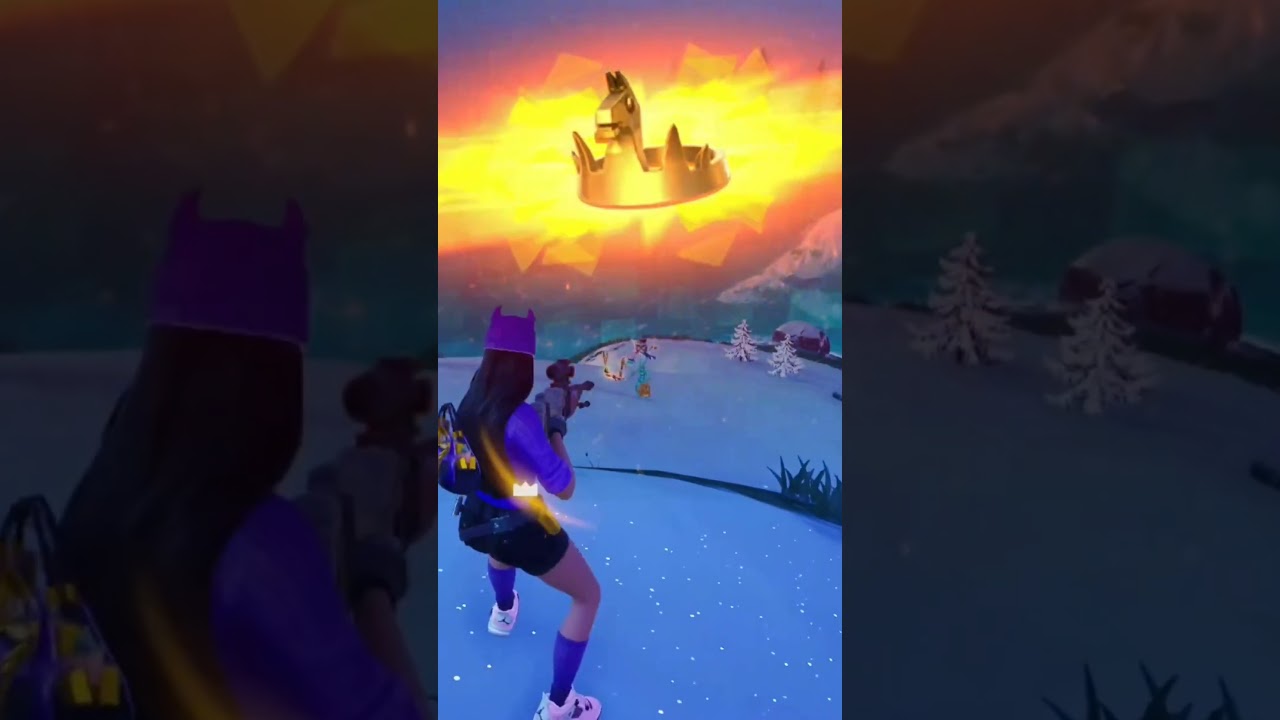 Fortnite crown win😇 