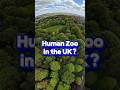 HUMAN ZOO! Human Zoo in the UK? 😱🤢