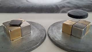 Graphite vs. Superconductor: Magnetic Levitation Compared