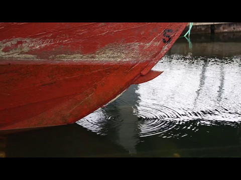 Fishermen's Terminal: Home Port on the Ship Canal