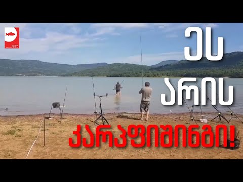 ეს არის კარპფიშინგი - შემოგვიერთდით თქვენც! - This Is CarpFishing - Join US!