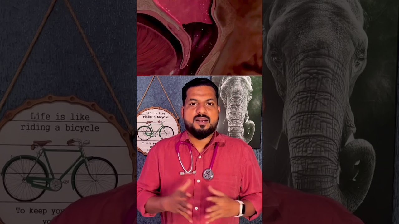 ആന മണ്ടത്തരങ്ങൾ 17 / 100 : വെള്ളം മാറിക്കുളിച്ചാൽ പനീം ജലദോഷോം വരും 