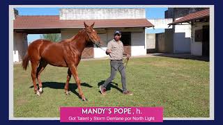 Mandy's Pope