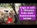 Kinga 3 Za Asili Ili Kuku Wako Wasiumwe Kupunguza Vifo KWA KUKU Wako 