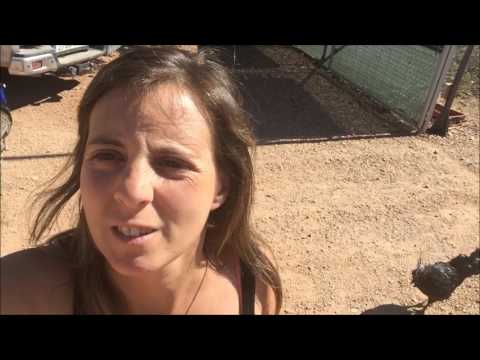 Zoológico Irís animales