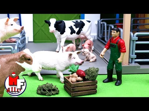 Bangunan pertanian untuk hewan peliharaan. Video untuk anak-anak