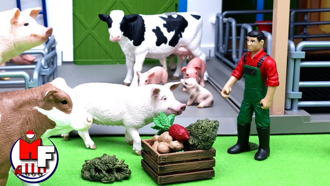 Bangunan pertanian untuk hewan peliharaan. Video untuk anak-anak