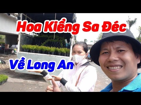 Video Siêu Thị Cây Cảnh | Giao Hoa Kiểng & Cỏ Nhung Cho... - youtube