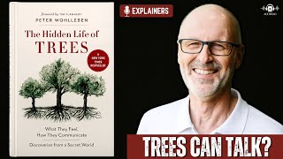 The Hidden Life of Trees by Peter Wohlleben | Explainers | Audivoo