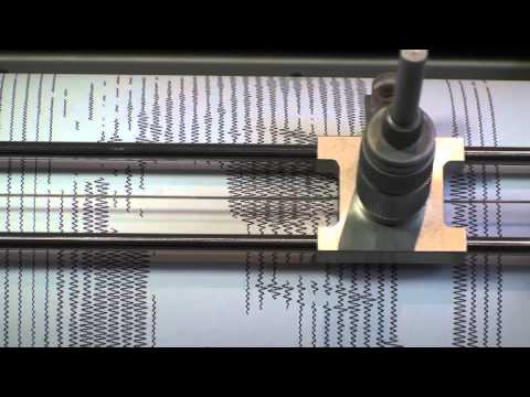 Calcomp plotter 565 - Portrait - Dora 2012 - Tom Mikulic