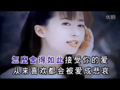 羞答答的玫瑰靜悄悄地開  孟庭葦 KTV (Lyrics, 去人聲)