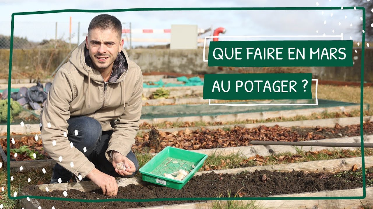 Que faire au potager en mars?