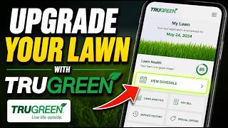 How to Upgrade Your Lawn with TruGreen - Beginner Guide