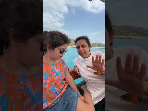 Köy ve koy