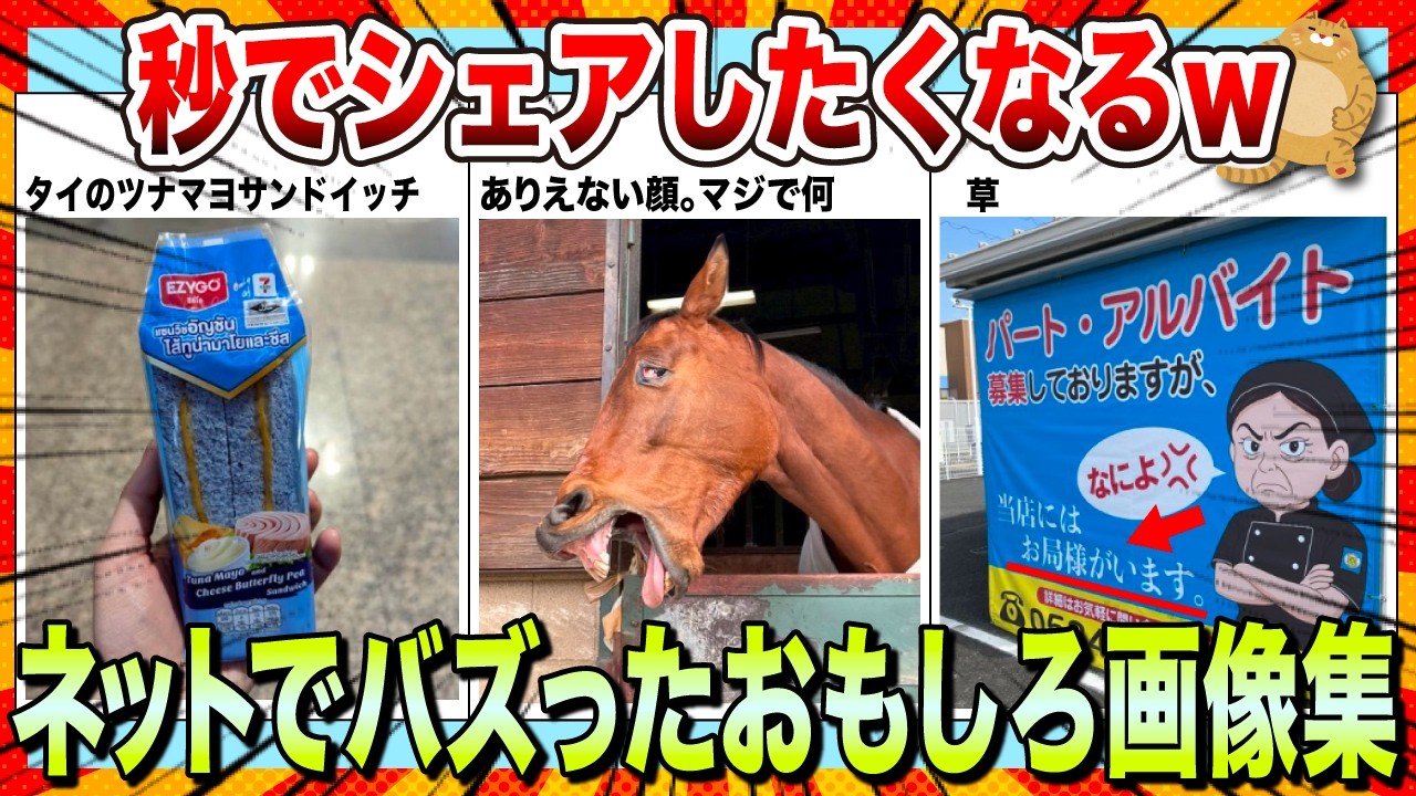 【🔥爆笑】秒で拡散されたwwネットで大バズりした爆笑画像集www【2ch】【5ch】【ゆっくり解説】【コメ付き】【面白画像】
