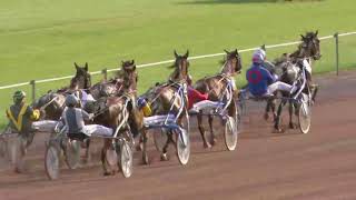 Vidéo de la course PMU PRIX NAPOLEON DE BUSSY