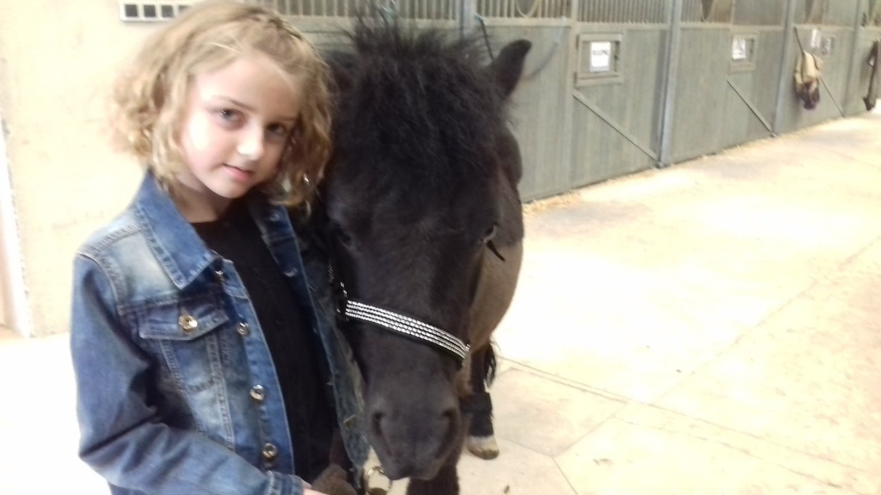 [Cour]  Équitation 1 Vrai Galop 1 Vrai saut &  CHUTE (PARTIE 2)