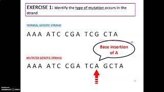 LECTURE CHAPTER 7 MUTATION PART 4
