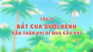 Tôi yêu Việt Nam 2020 Vui Giao Thông - Tập 12: Bắt cua dưới kênh - Cẩn thận khi đi qua cầu khỉ.