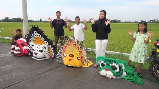 Playing with Colorful Barongan in the Afternoon