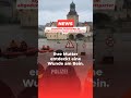Mysteriöse Verletzungen im abgedunkelten Bereich des Stuttgarter Zoos #shorts