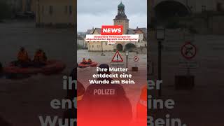 Mysteriöse Verletzungen im abgedunkelten Bereich des Stuttgarter Zoos #shorts