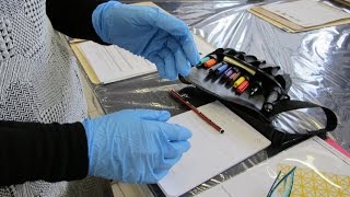 Career Spotlight - Conservator
