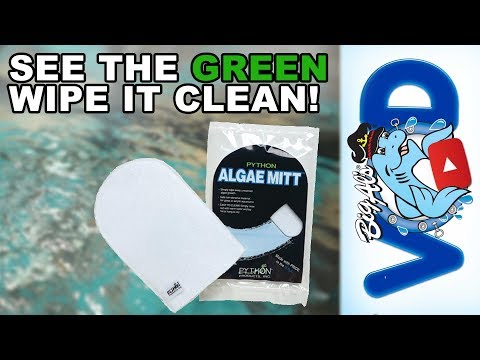 See the Green, Wipe it Clean! | BigAlsPets.com