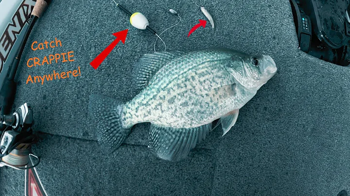 Catch CRAPPIE Anywhere With This SIMPLE Bobber and MINNOW Rig!!
