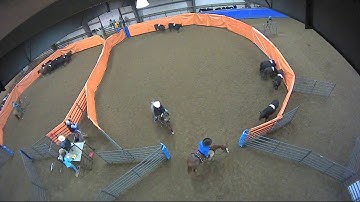 Big Sky Ranch Sorting Saddle Series #2 - #10 H/C - Round #1 - Ride #12