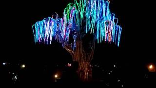 Burning Man 2001 - Tree of Life