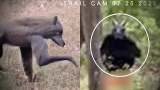 Most Disturbing Creatures Caught on Trail Cam 2025 *NO BS!*