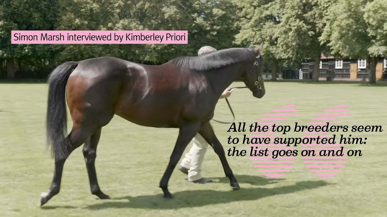 Simon Marsh reviews Too Darn Hot