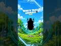 BOMBARDIER BEETLE #018 - WILD DEX