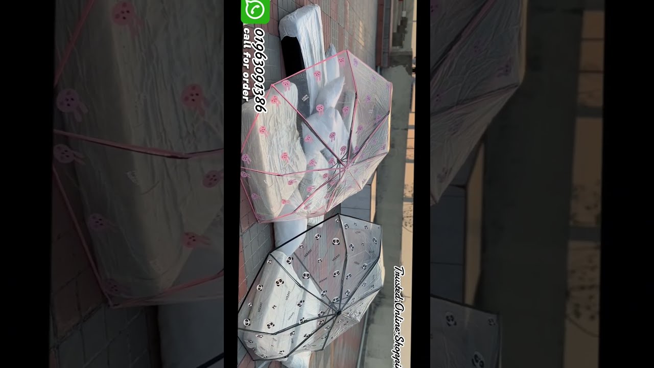 Transparent Umbrella Student Sunny And Rainy Day Order Now What Sapp 01963091386 Bd