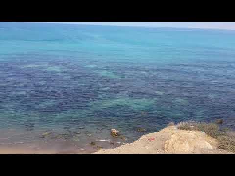 Oran Videos Latest Videos From And About Oran